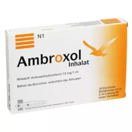 AMBROXOL Inhalációs oldat porlasztóhoz, 20X2 ml