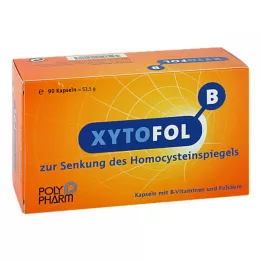 XYTO Fol B kapszula, 90 db