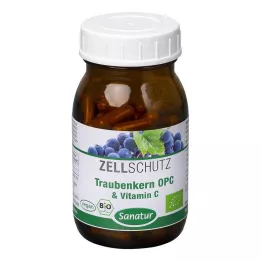 OPC TRAUBENKERN &amp; C-vitamin kapszula, 90 db