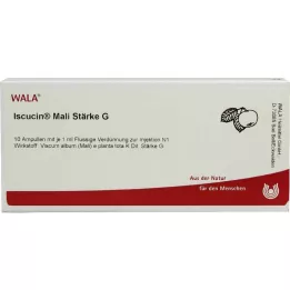 ISCUCIN Mali erősség G ampoule, 10x1 ml
