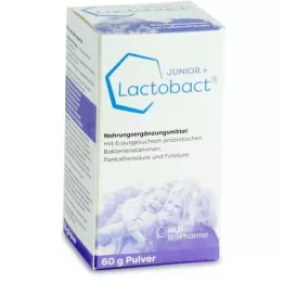 LACTOBACT Junior por, 60 g