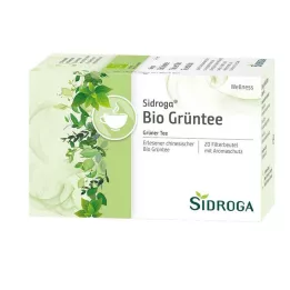 SIDROGA Wellness zöldtea filtertasak, 20X1,7 g