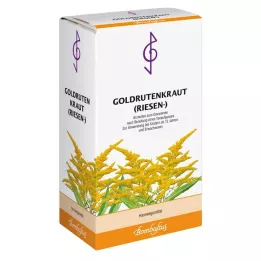 GOLDRUTENKRAUT Óriás tea, 100 g