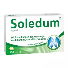 SOLEDUM 100 mg gyomornedv-ellenálló kapszula, 100 db