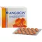 ANGOCIN Antifertőzés N film -bevonatú tabletta, 200 db