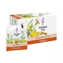 INGWER TEE Szűrőzsákok, 20X2 g