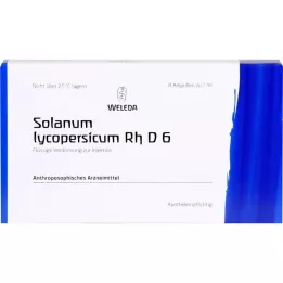 Solanum Lycopersicum RH D6, 8 db