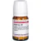 Hypericum D 8, 80 db