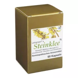 STEINKLEE Capsules, 60 db