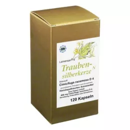 TRAUBENSILBERKERZE Kapseln, 120 db