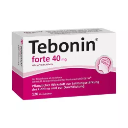 TEBONIN forte 40 mg filmtabletta, 120 db