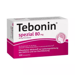 TEBONIN speciális 80 mg-os filmtabletta, 120 db