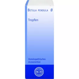 BETULA PENDULA Hanosan anyatinktúra, 20 ml
