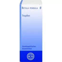BETULA PENDULA Hanosan anyatinktúra, 50 ml