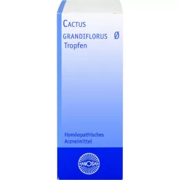 CACTUS GRANDIFLORUS Hanosan anyatinktúra, 20 ml