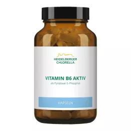 VITAMIN B6 KAPSZULA, 120 db