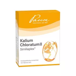 KALIUM CHLORATUM 2 Similiaplex tabletta, 100 db
