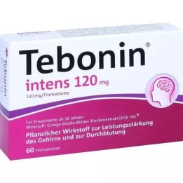TEBONIN 120 mg -os film -bevonatú tabletták, 60 db