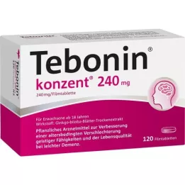 TEBONIN 240 mg csoportos film -bevonatú tabletta, 120 db