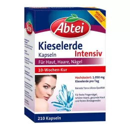 ABTEI Szilika kapszula, 210 db