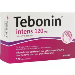 TEBONIN 120 mg -os film -bevonatú tabletták, 120 db