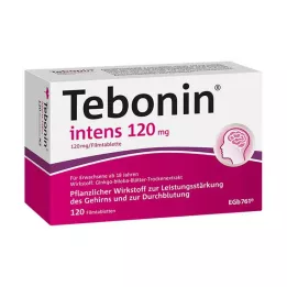 TEBONIN intens 120 mg filmtabletta, 120 db