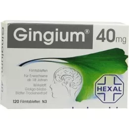 GINGIUM 40 mg film -bevonatú tabletták, 120 db