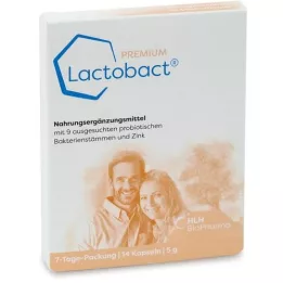 LACTOBACT PREMIUM 7 napos csomag gyomor safts.kps., 14 db