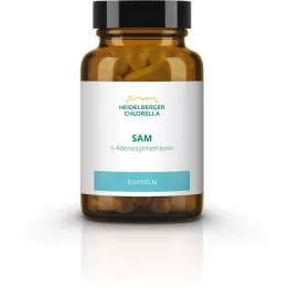 SAM S-ADENOSYLMETHIONIN kapszula, 60 db