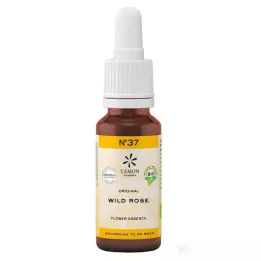 Bach Blossom No. 37 vad rózsa szerves, 20 ml