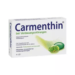CARMENTHIN emésztési zavarokra msr.Lágy kapszula, 14 db