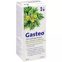 GASTEO cseppek, 50 ml