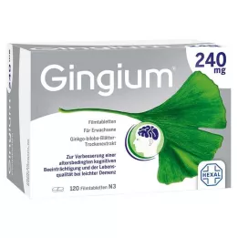 GINGIUM 240 mg-os filmtabletta, 120 db