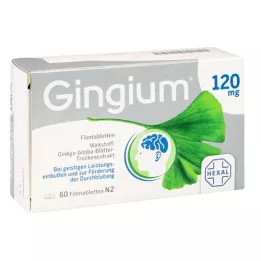 GINGIUM 120 mg film -bevonatú tabletta, 60 db