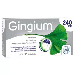 GINGIUM 240 mg-os filmtabletta, 40 db