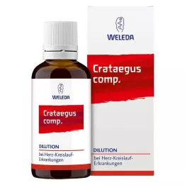 CRATAEGUS COMP.Hígítás, 2X50 ml