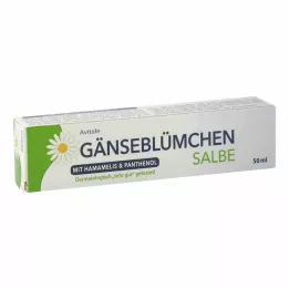 GÄNSEBLÜMCHEN Kenőcs varázsmogyoróval &amp; Panthenol, 50 ml