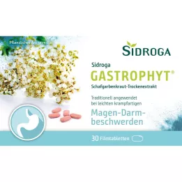 SIDROGA GastroPhyt 250 mg filmtabletta, 30 db