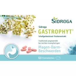 SIDROGA GastroPhyt 250 mg filmtabletta, 60 db