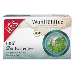 H&amp;S Organic Fasting Tea Filter tasakok, 20X1,5 g