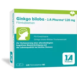 GINKGO BILOBA-1A Pharma 120 mg film -bevonatú tabletták, 120 db