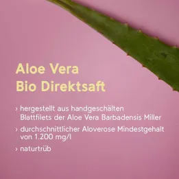 Szlltsi szolgltats Nmetorszgbl - Rainbow Gesellschaft fr  Naturprodukte mbH